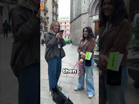 Never Have I Ever: Airbnb Guest Confessions 🫢