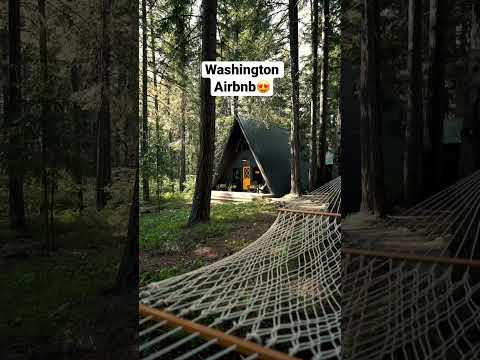 Thumbnail for Levi Kelly Tours