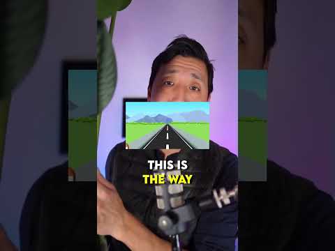 Real Talk - I still get people asking me real plant vs fake plant for Airbnb properties.