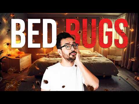 Airbnb Bed Bug Scare: What Hosts Need to Know
