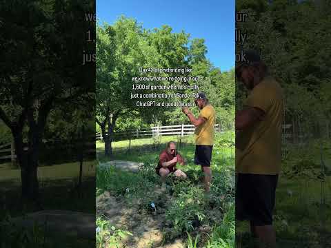 When your little summer hobby accidentally turns into a mini farm #worklifebalance #entrepreneurship