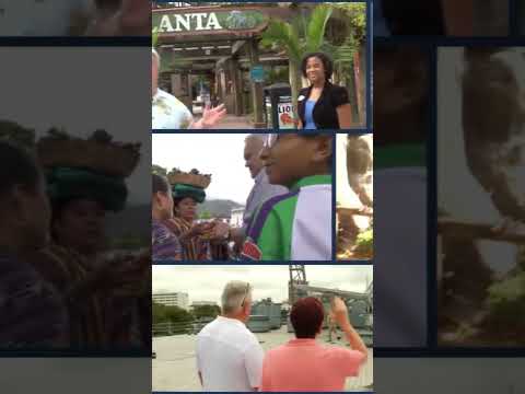 Loving Life with Dr. Weir | Inspiring Stories from Local Artists, Musicians & Entrepreneurs