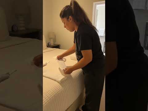 Thumbnail for Deetakesovercleaning