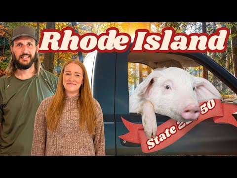 This Rhode Island STR uses 100% of its revenue to save animals | Airstream Airbnb