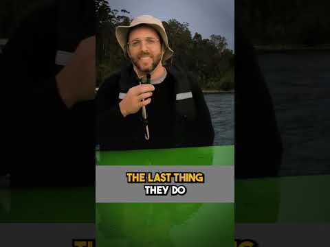 Get More Airbnb Reservations 💥 | New Listing Tips For 2023 #shorts