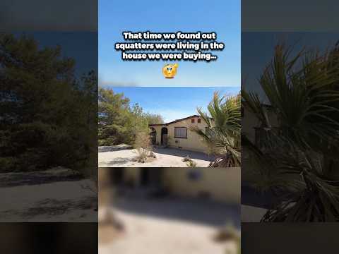 Part 1: The time we bought a house with squatters in it 🫠 #realestateinvesting