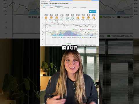 Thumbnail for The Short Term Shop