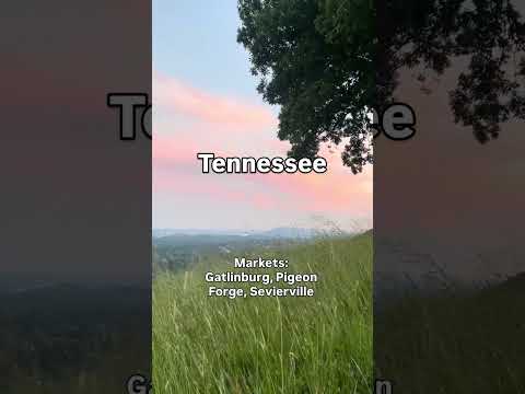 Thumbnail for The Short Term Shop