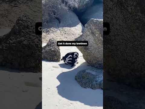 Get it done my brethren