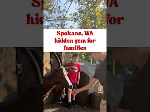 We’re traveling to all 50 states and found this hidden gem spot in Spokane, Washington #familytravel
