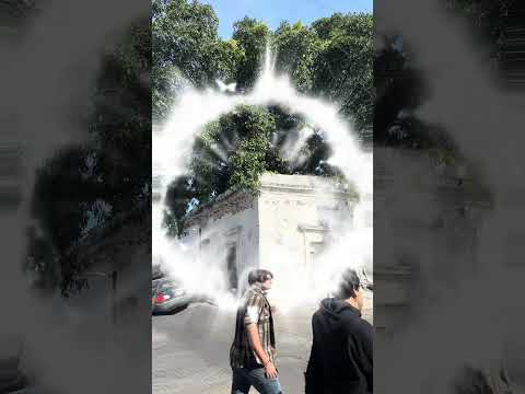 ¿Conoces la Casa del Árbol? #culiacan