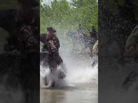 Discover TWW: Unlocking Exclusive Content & Entertainment | YourHomeTV