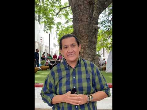 El árbol huanacaxtle de 150 años en Culiacán