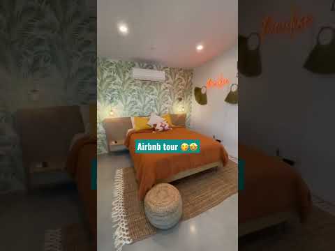 Thumbnail for The Real Estate Robinsons