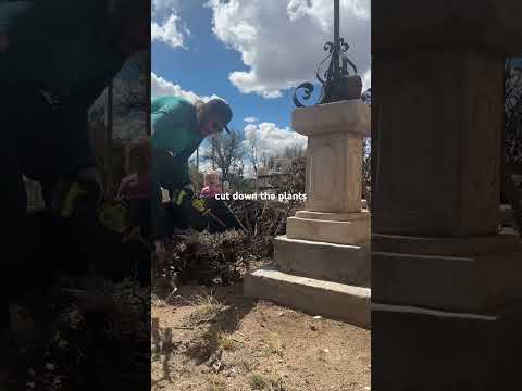 Day 19 of transforming the castle into a short term rental and wedding venue #uniquestays #airbnb