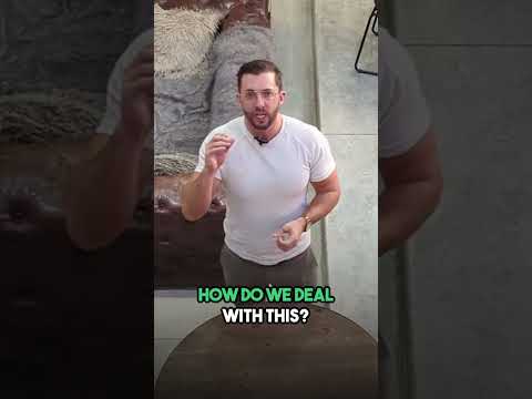 AIRBNB HOST🚨! A Common Complaint On Airbnb Is Guest Unrealistic Expectations #shorts