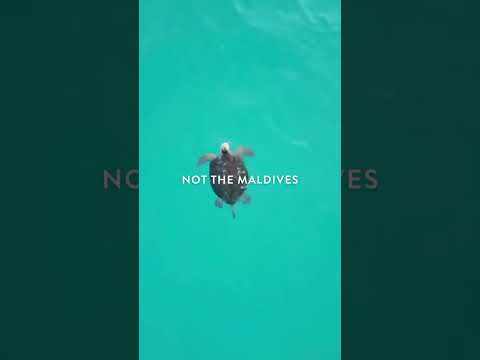 The perfect place for a vacation home. Video by @FloridaTravelGuide