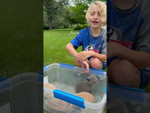 June highlight reel ☀️ #entrepreneurlife #intentionalliving #worklifebalance #homeschoolfamily