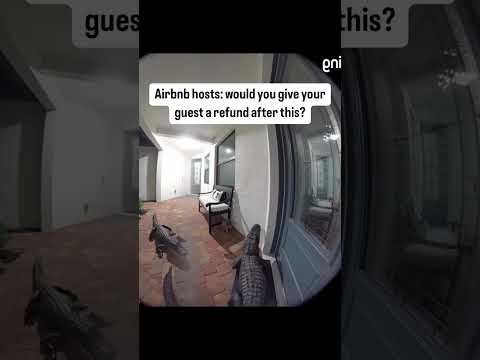 “Everything was great except for when 2 alligators busted the door down." 😅 #Floridaproblems