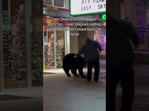 Man Smacks Bear In Smoky Mountains | Airbnb Investing Smoky Mountains