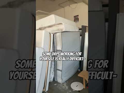 We all need a work dog!