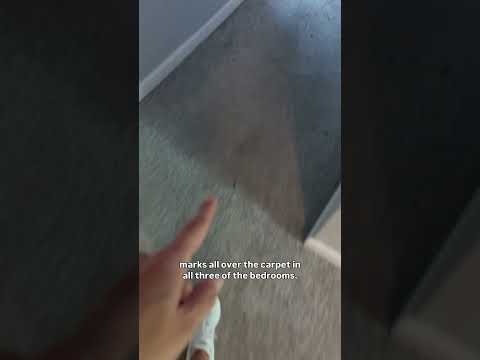 Helllllp what do we do??? #airbnbbusiness #airbnbhosttips #entrepreneurship