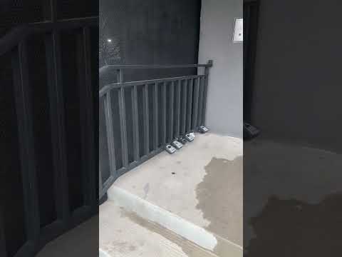 Thumbnail for Michael Chang