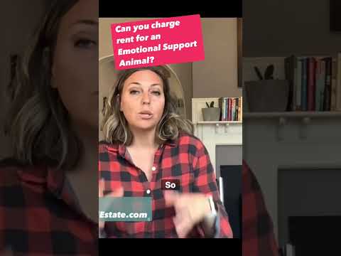 Thumbnail for Midterm Rental Consulting