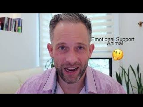 Airbnb Tips | Service Animals vs Emotional Support Animals | Tim Hubbard