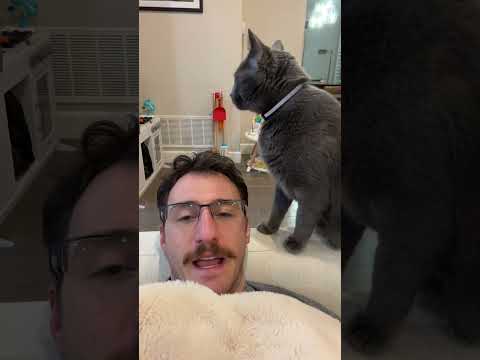 Thumbnail for BiggerPockets Money