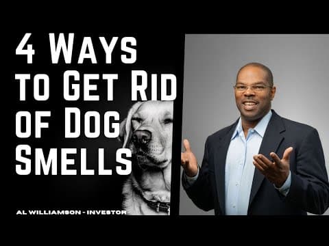 4 Ways to Get Rid of Dog Smells