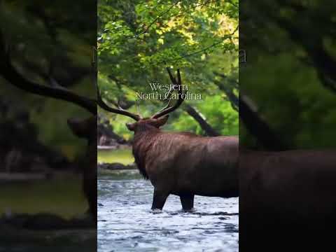 An excellent location for a vacation home