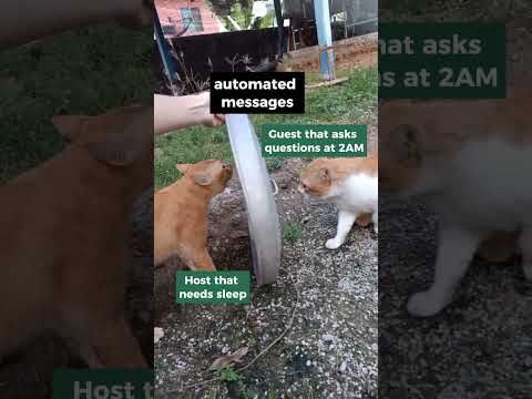 Automated messages: saving hosts from midnight meltdowns since forever. 📲😴