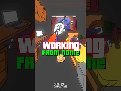 Thumbnail for Shaun Ghavami | Airbnb Coach