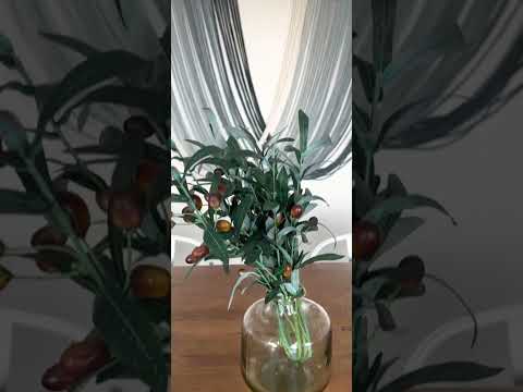 The financial freedom dream starts TODAY!