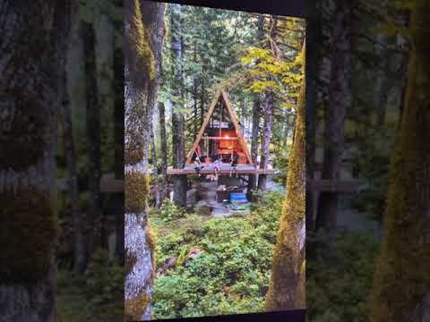 Thumbnail for John Bianchi