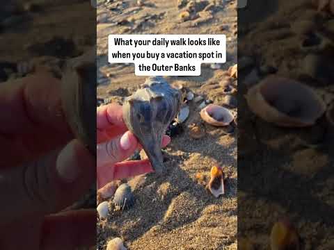 Thinking about buying a vacation rental in the Outer Banks?