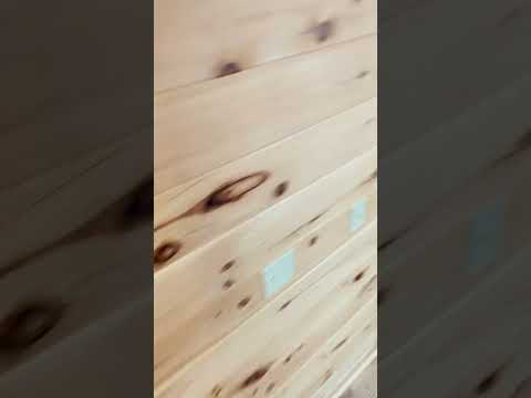 Thumbnail for The Short Term Shop