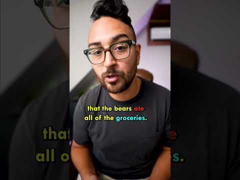 Bears Broke Into My Airbnb!! 🐻