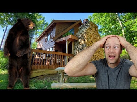 Bears Attacked my Gatlinburg Airbnb Cabin TWICE!!!!!