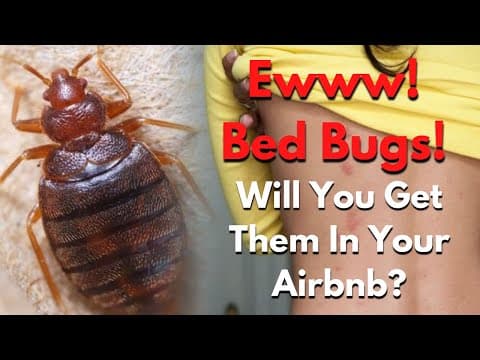 Bed Bugs! Will You Get Them In Your Airbnbs? | The STRR Podcast #43 | Tim Hubbard