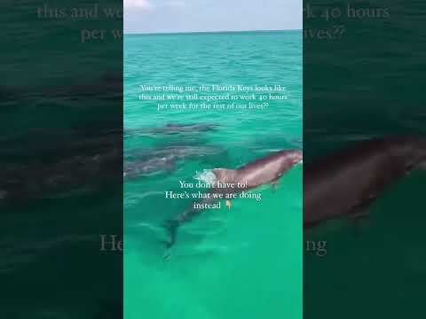 Tired of being stuck behind a desk? We found freedom through vacation rental #airbnbpartner