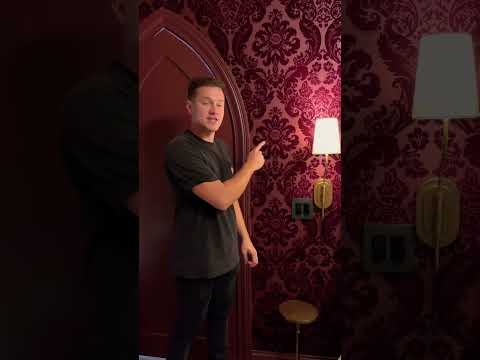 Thumbnail for Levi Kelly Tours