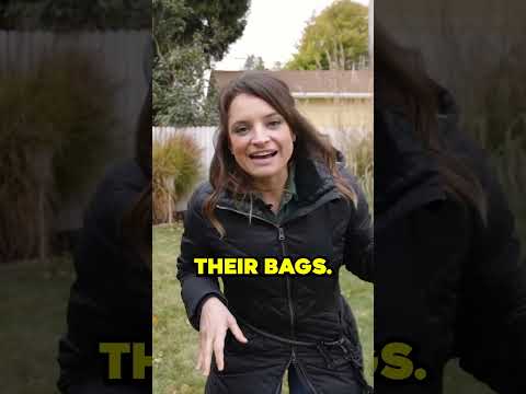 Pets Staying in Your Airbnb? DON'T Forget to Include These CRUCIAL Details!