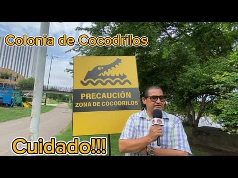 Si hay COCODRILOS!!