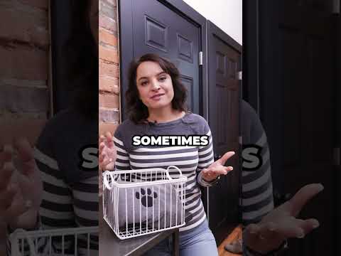 Pet Friendly Airbnb Tip!