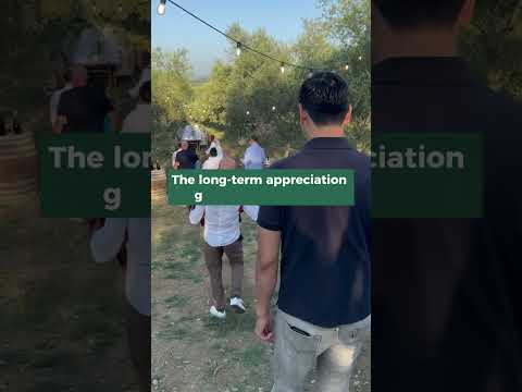 This is how financial freedom becomes a reality...