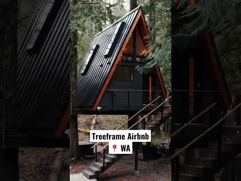 Treeframe Cabin Airbnb #shorts