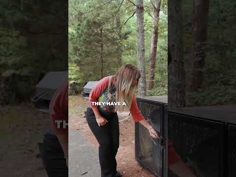 Thumbnail for The Short Term Shop