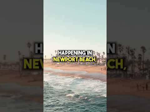 Thumbnail for The Real Estate Robinsons